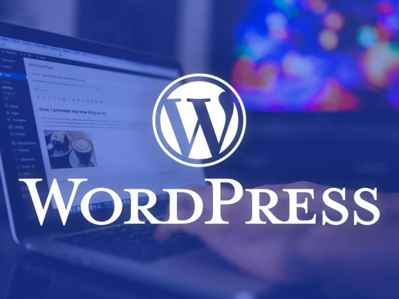 Продвижение через WordPress  