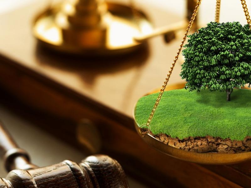 Помощь юриста при земельных спорах и оформлении недвижимости
